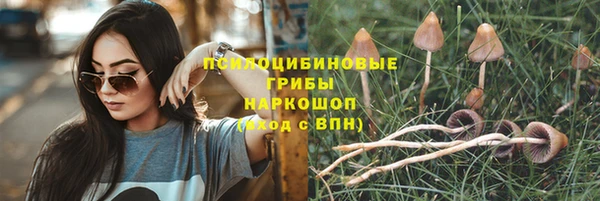 эйфоретик Волосово