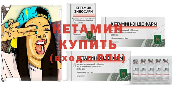 стаф Володарск